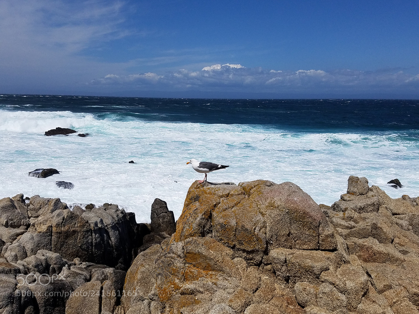 Samsung Galaxy S7 sample photo. 20160424_142410.jpg photography