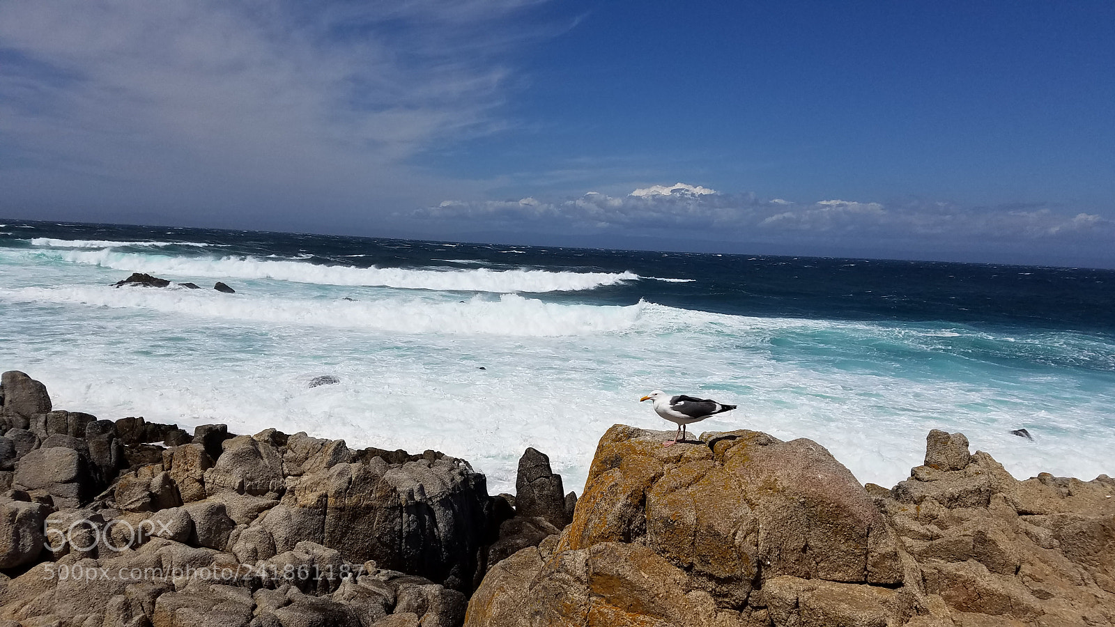 Samsung Galaxy S7 sample photo. 20160424_142504.jpg photography