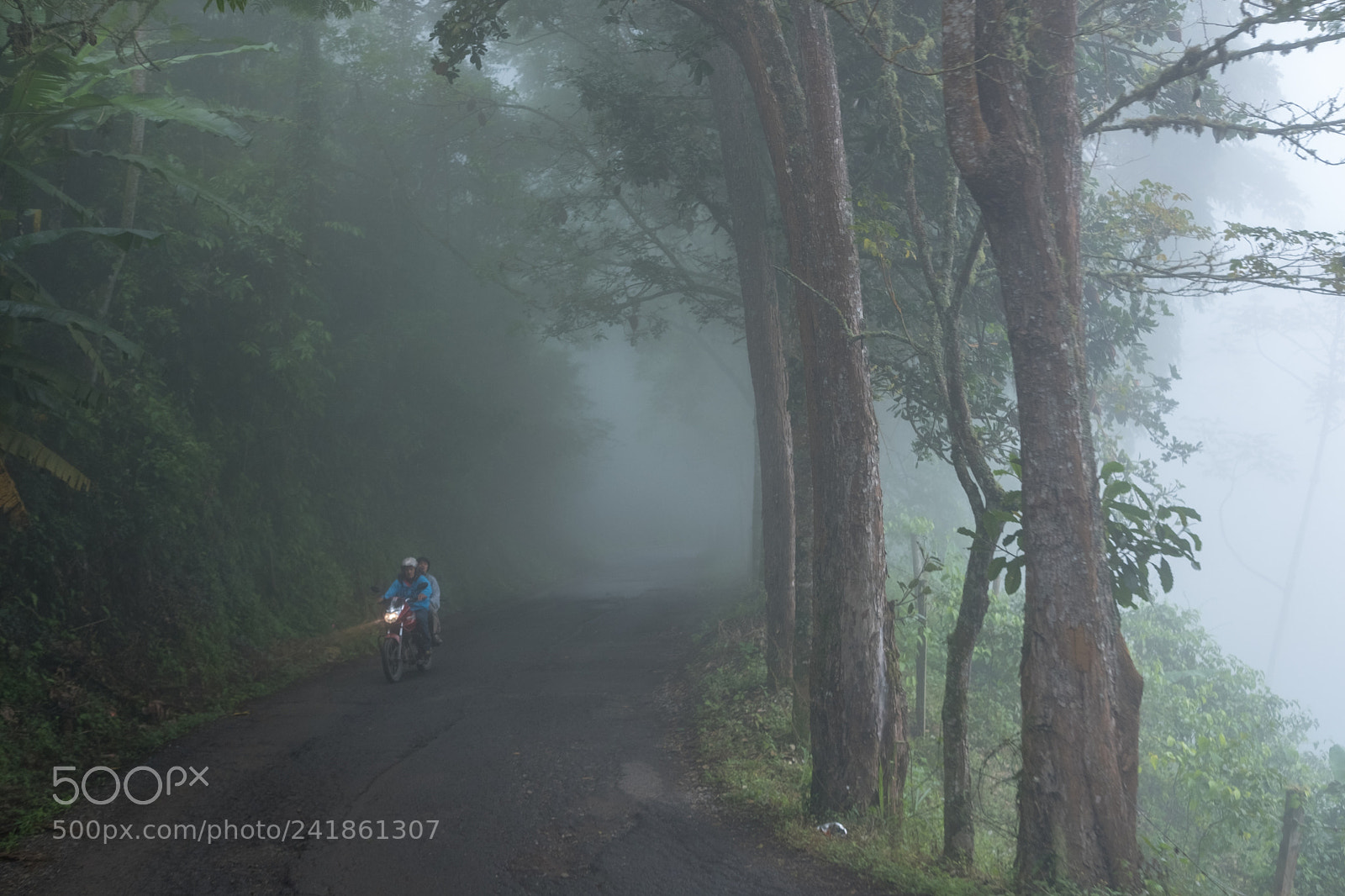 Fujifilm X-E3 sample photo. Road to the mountain photography