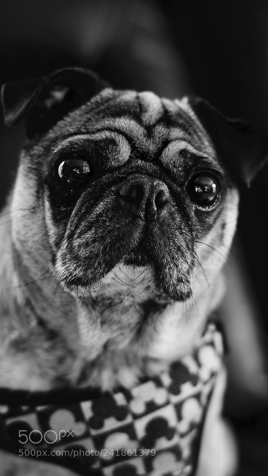 Nikon D5600 sample photo. Untitled photography