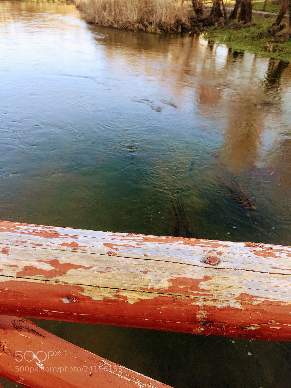 Apple iPhone 6 sample photo. Untitled photography