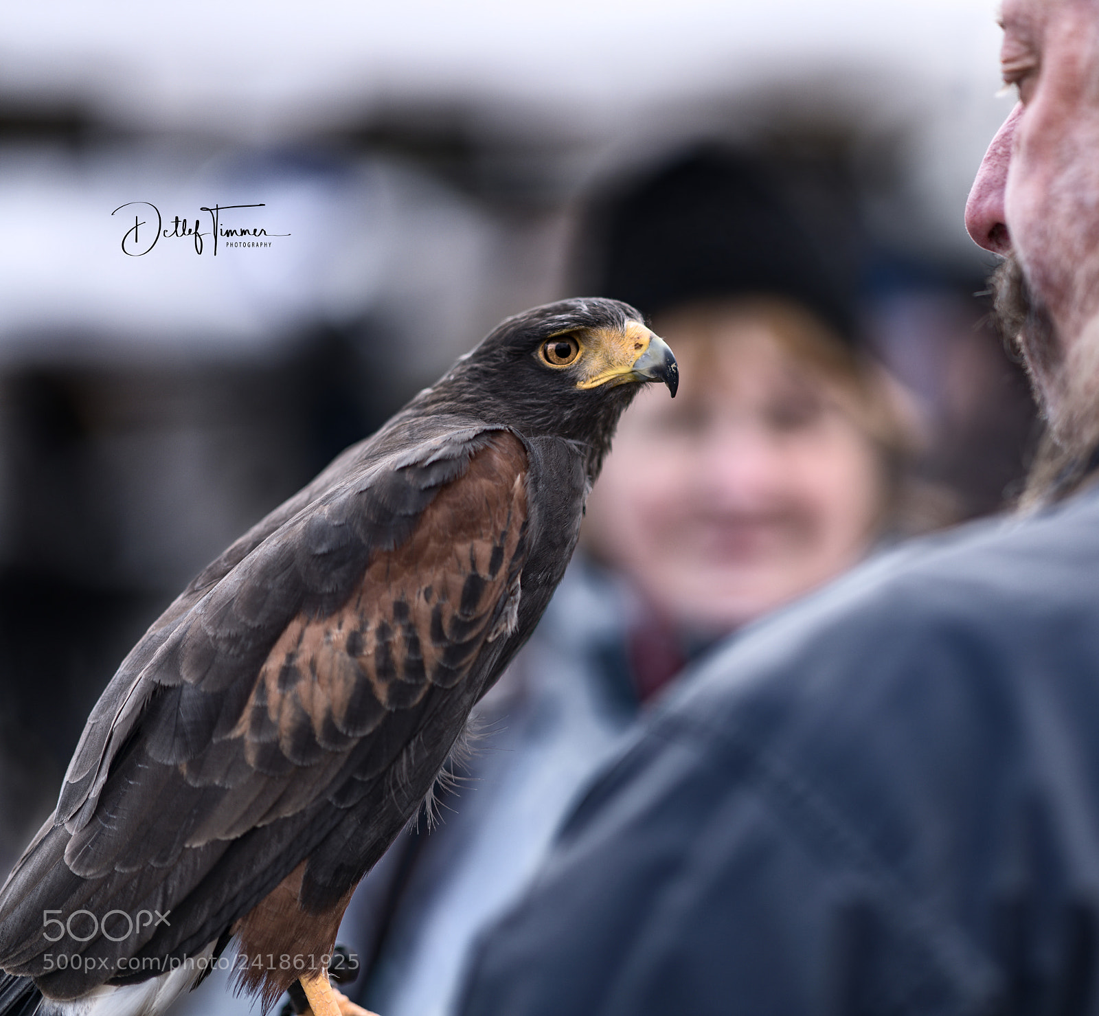Nikon D850 sample photo. Eye contact- blickkontakt photography