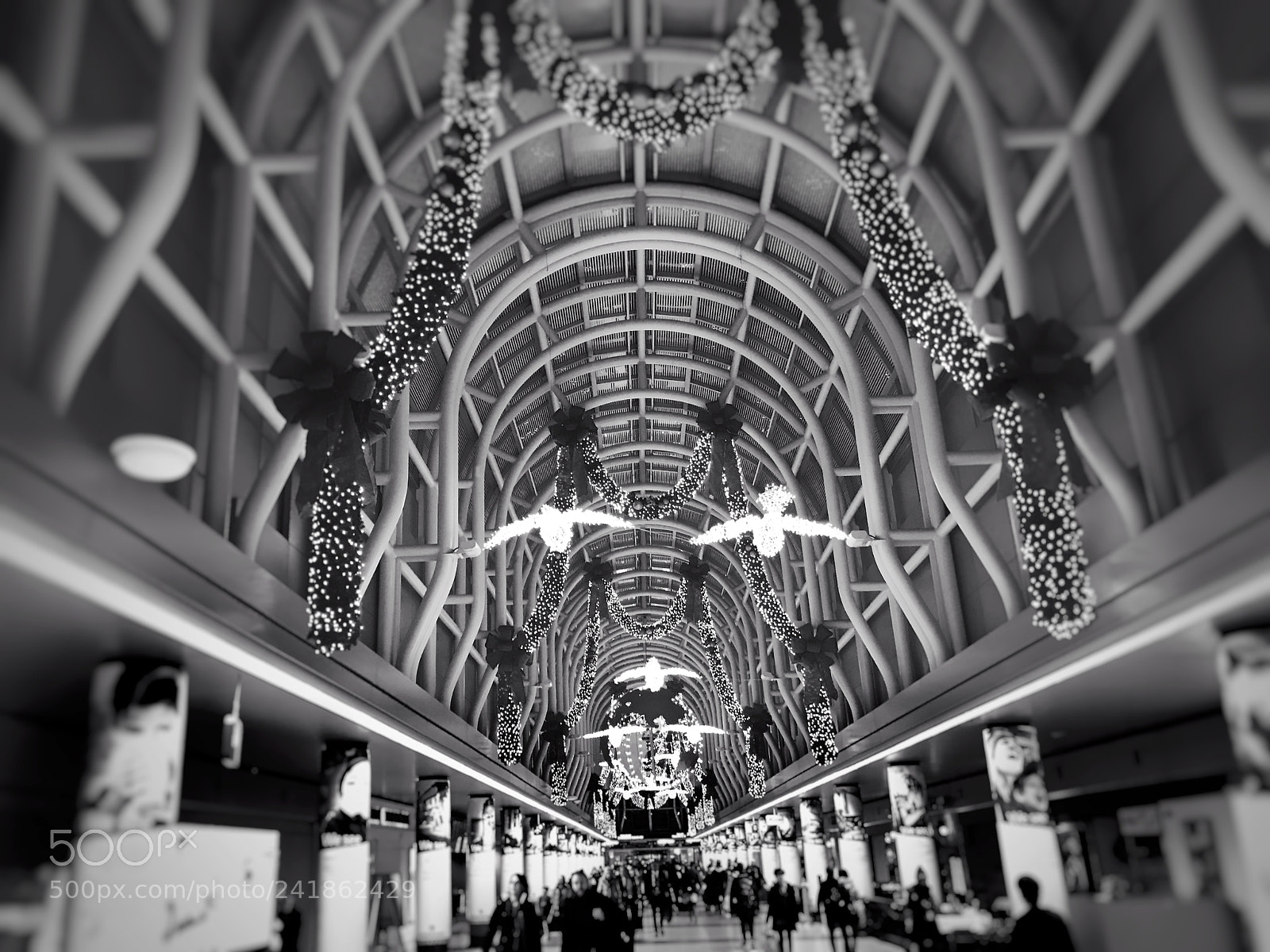 Apple iPhone 7 Plus sample photo. O'hare airport photography
