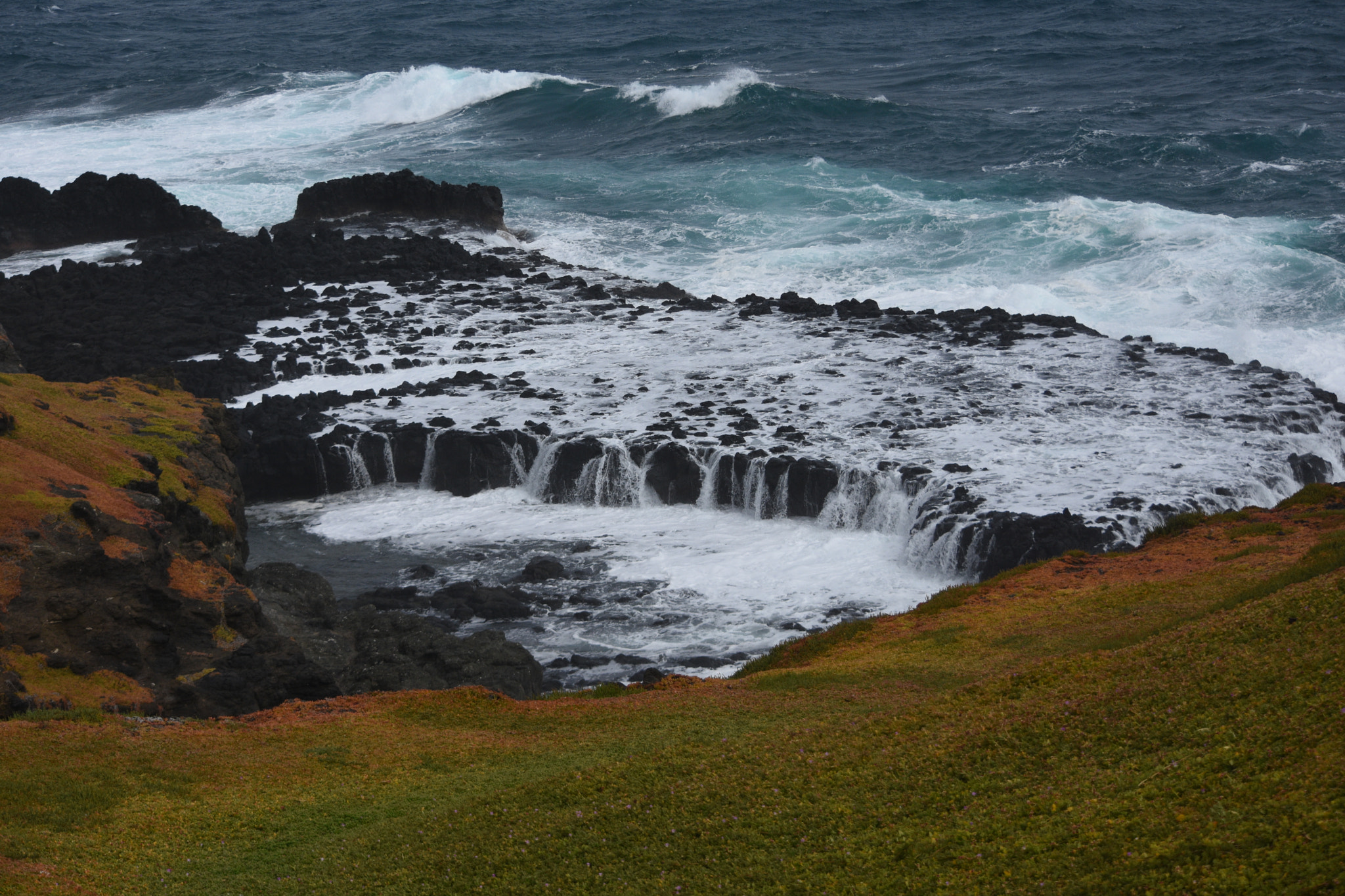 Nikon D7200 sample photo. Phillip island australia photography