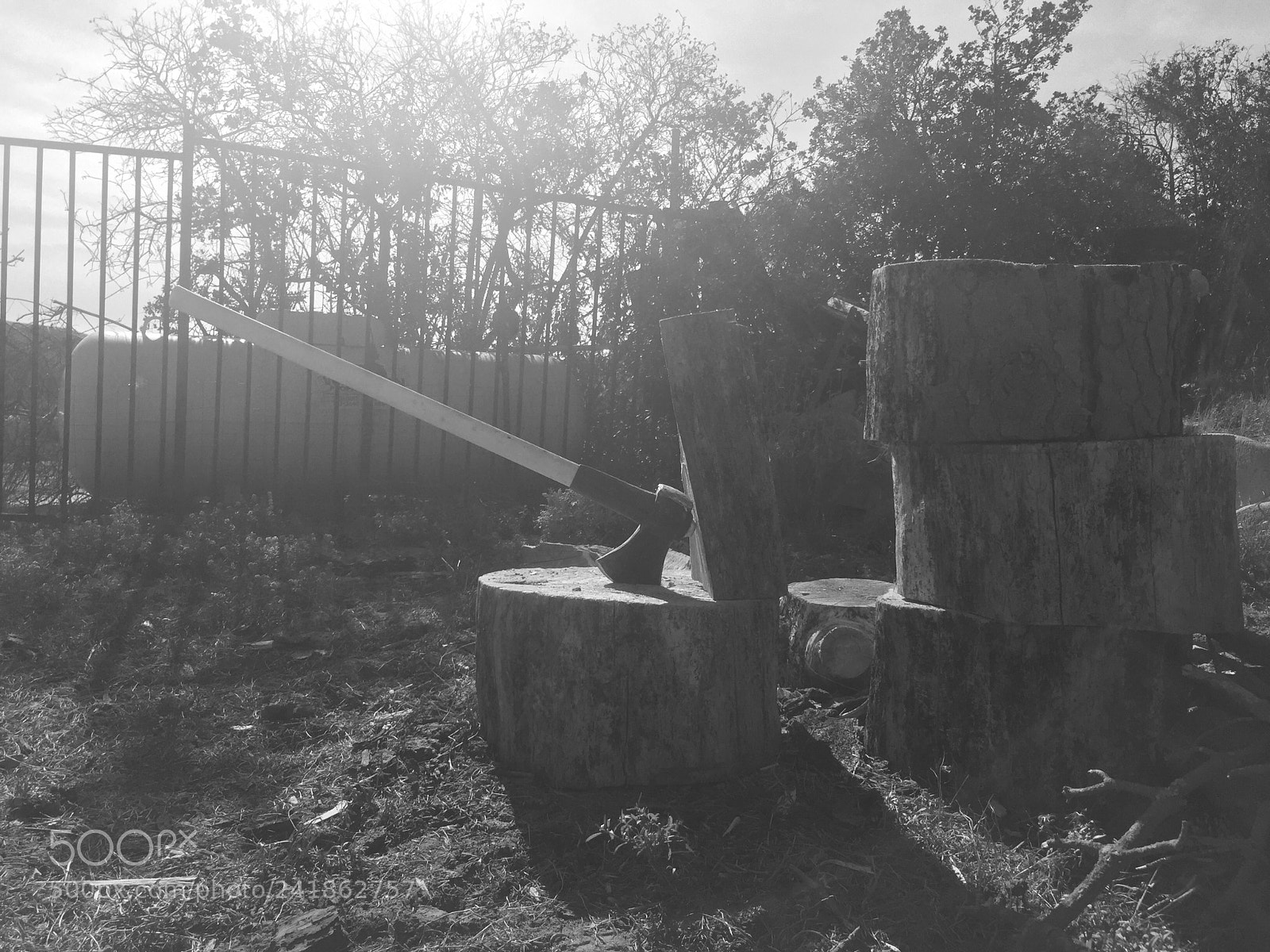 Apple iPhone 6 sample photo. Untitled photography