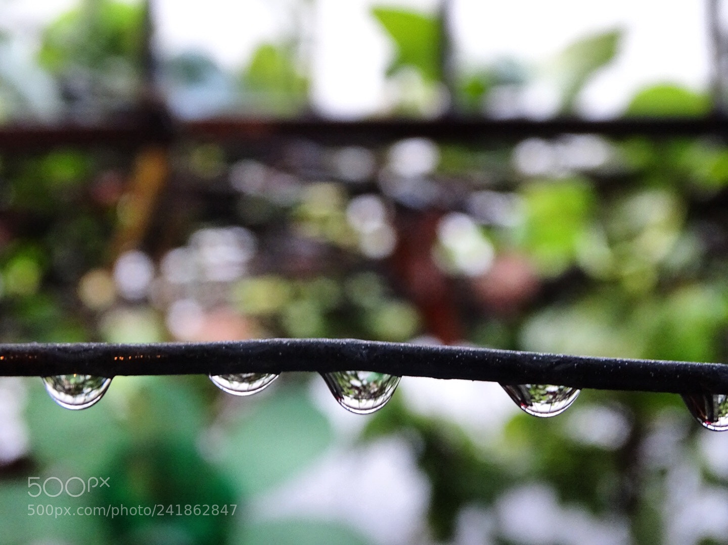 Sony Cyber-shot DSC-HX400V sample photo. Gotas. photography