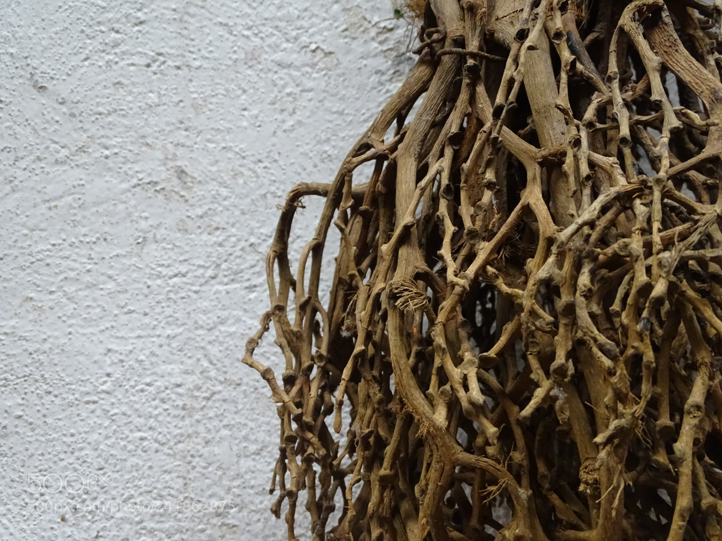 Sony Cyber-shot DSC-HX400V sample photo. Decay. photography