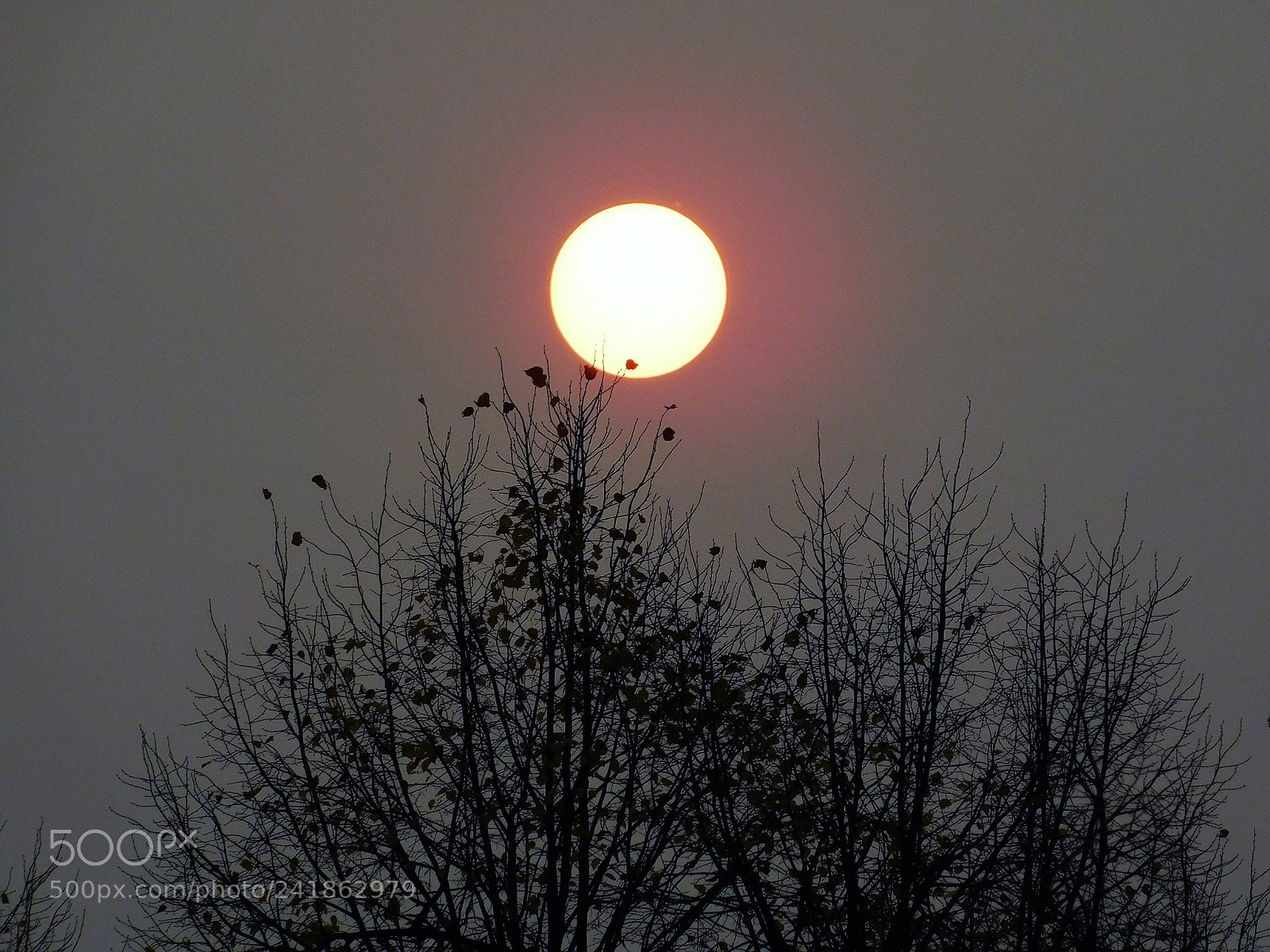 Nikon Coolpix B500 sample photo. Sonne uhr mittags c photography