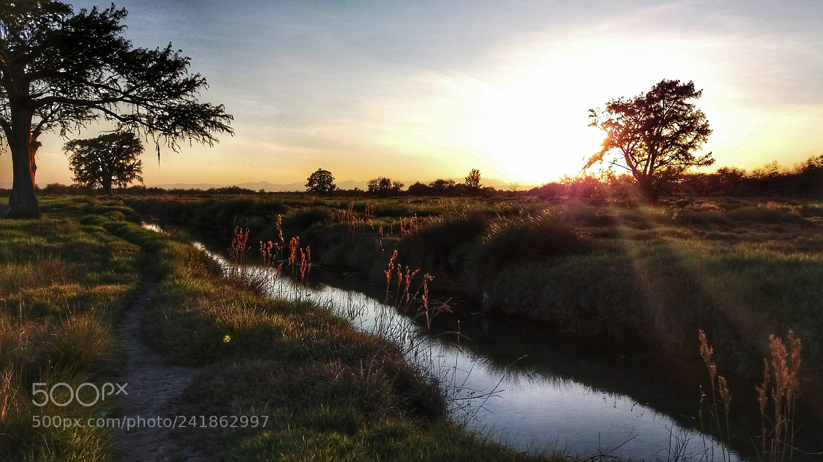 Samsung Galaxy J5 sample photo. Untitled photography