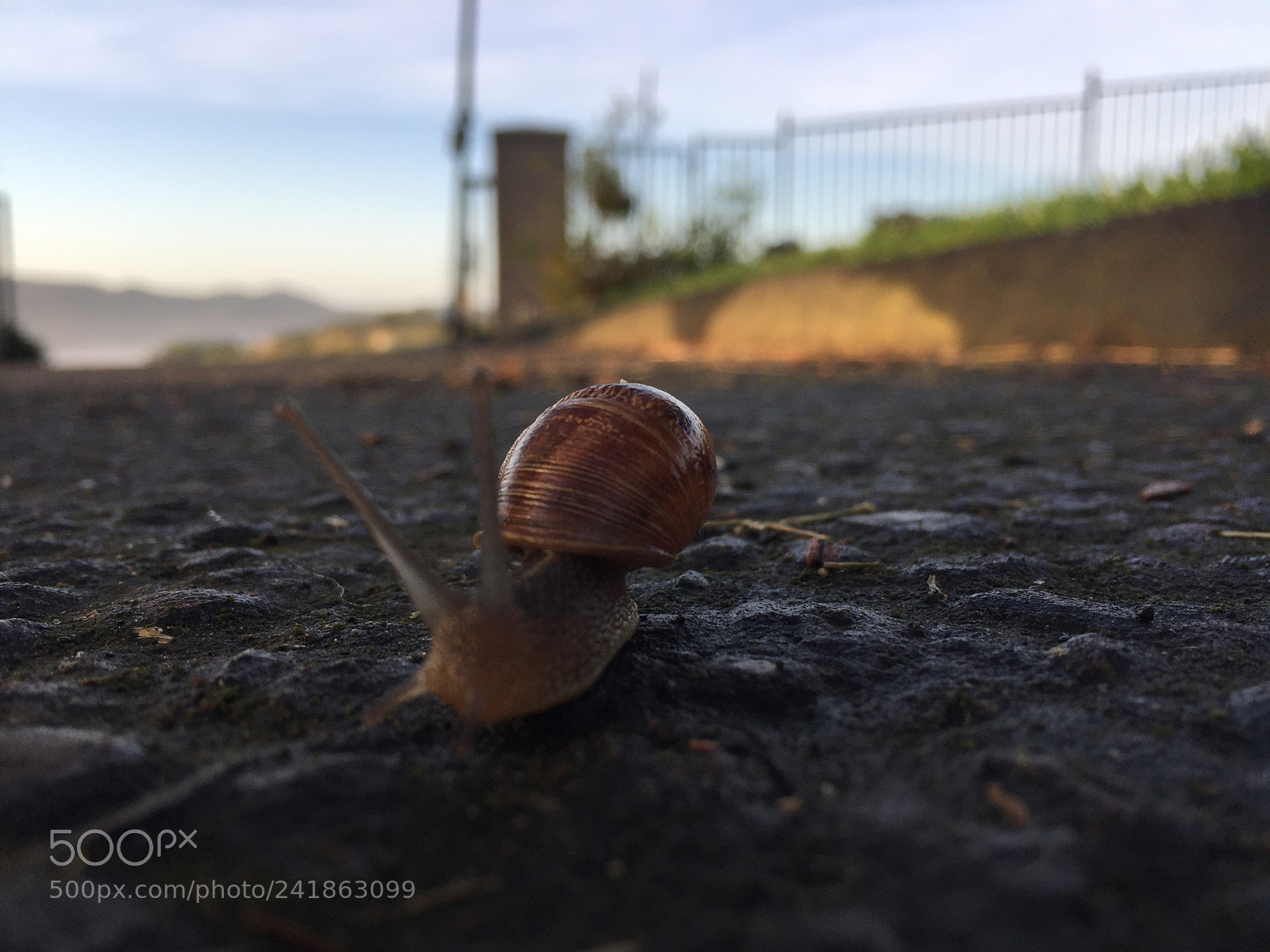 Apple iPhone 6 sample photo. Untitled photography