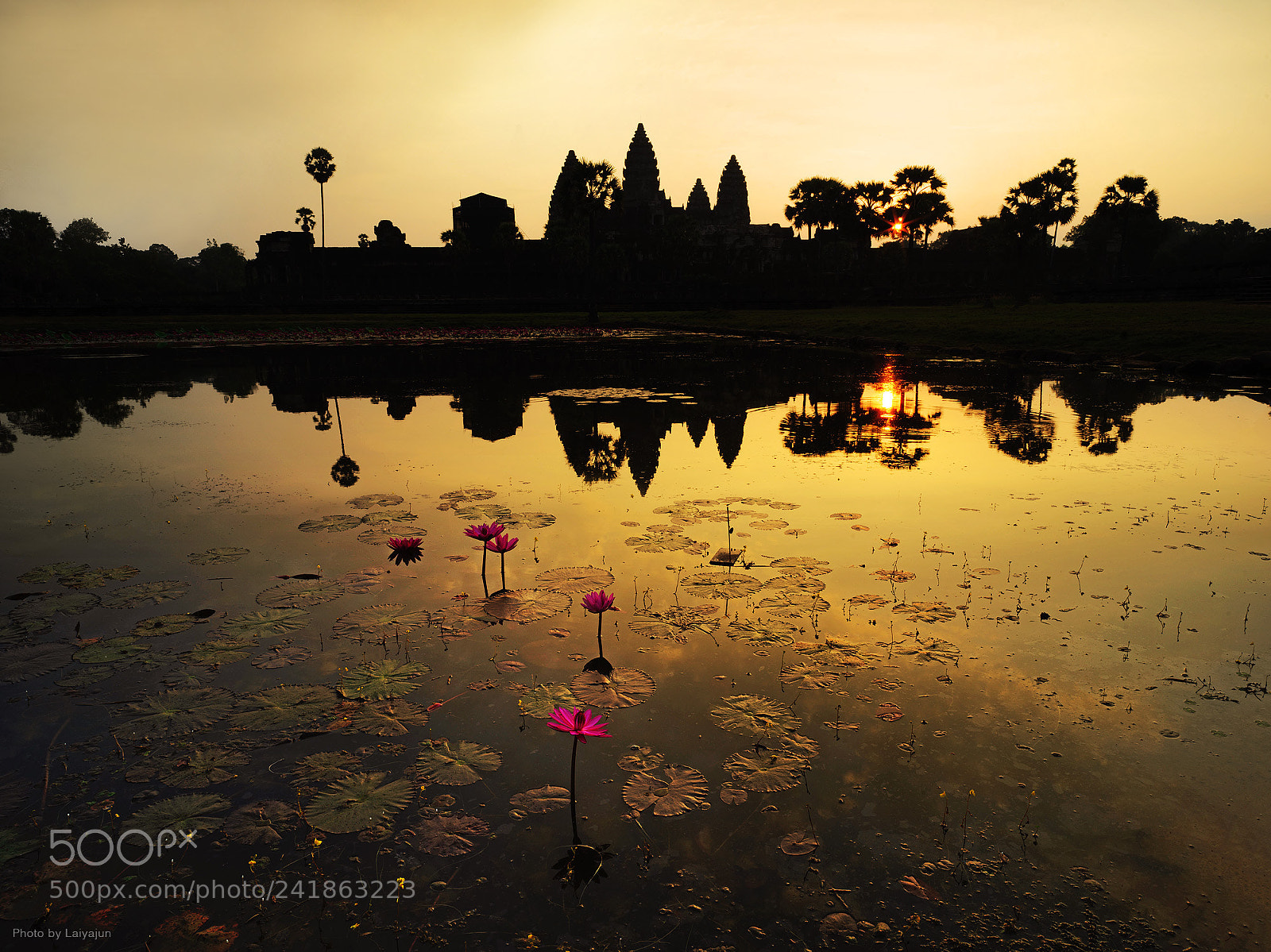 Hasselblad X1D-50c sample photo. Angkor wat sunrise photography