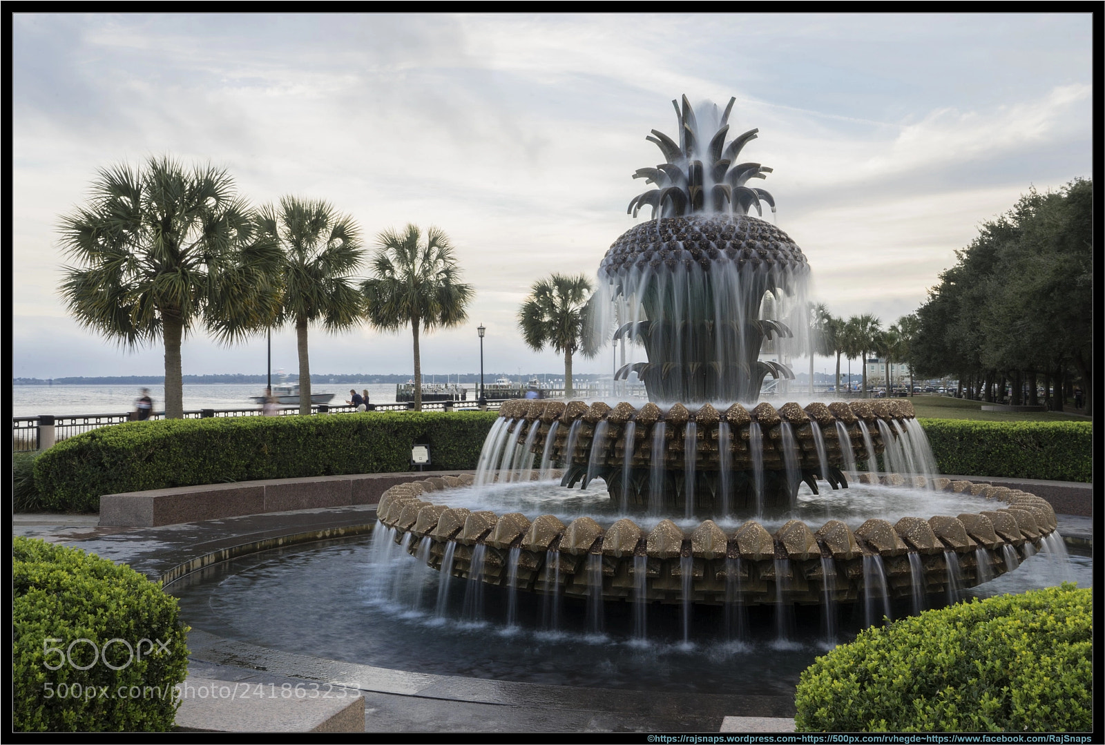 Sony a7 II sample photo. Pineapple fountain photography