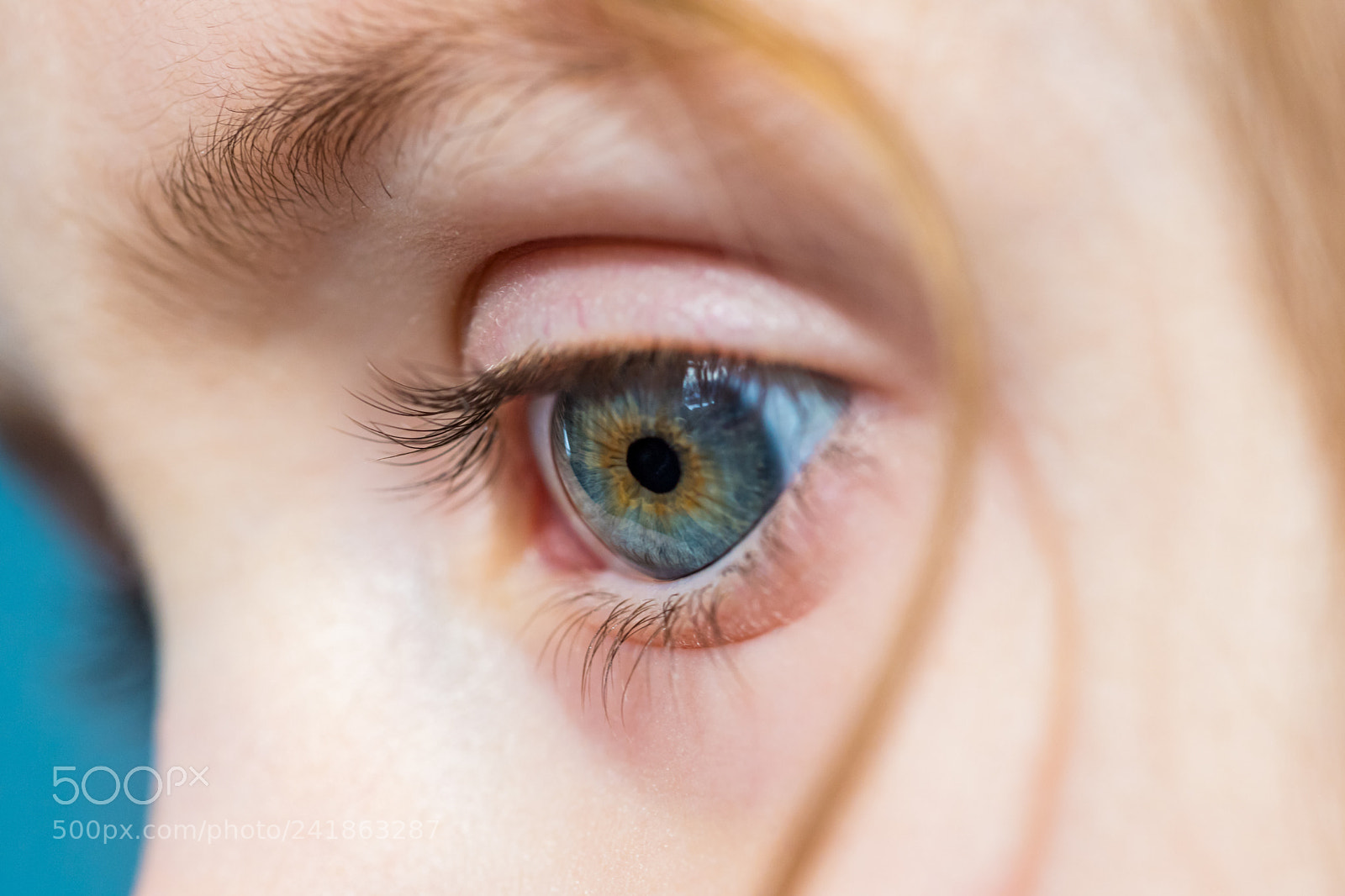 Canon EOS 6D Mark II sample photo. Those eyes photography