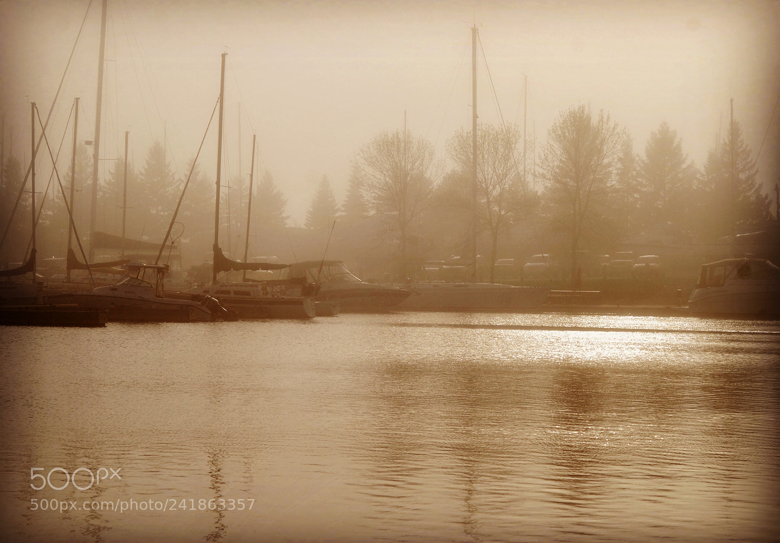 Nikon D40X sample photo. Fog at the marina photography