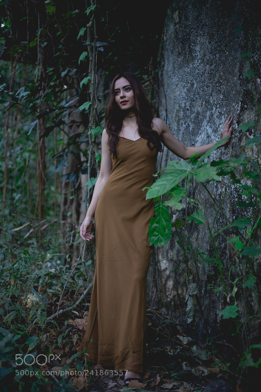 Canon EOS 6D Mark II sample photo. Woods photography