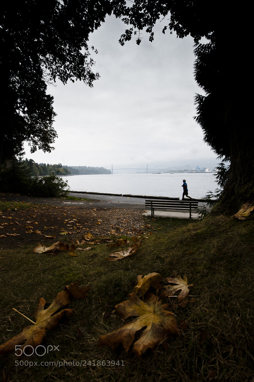 Canon EOS 400D (EOS Digital Rebel XTi / EOS Kiss Digital X) sample photo. September stanley park photography