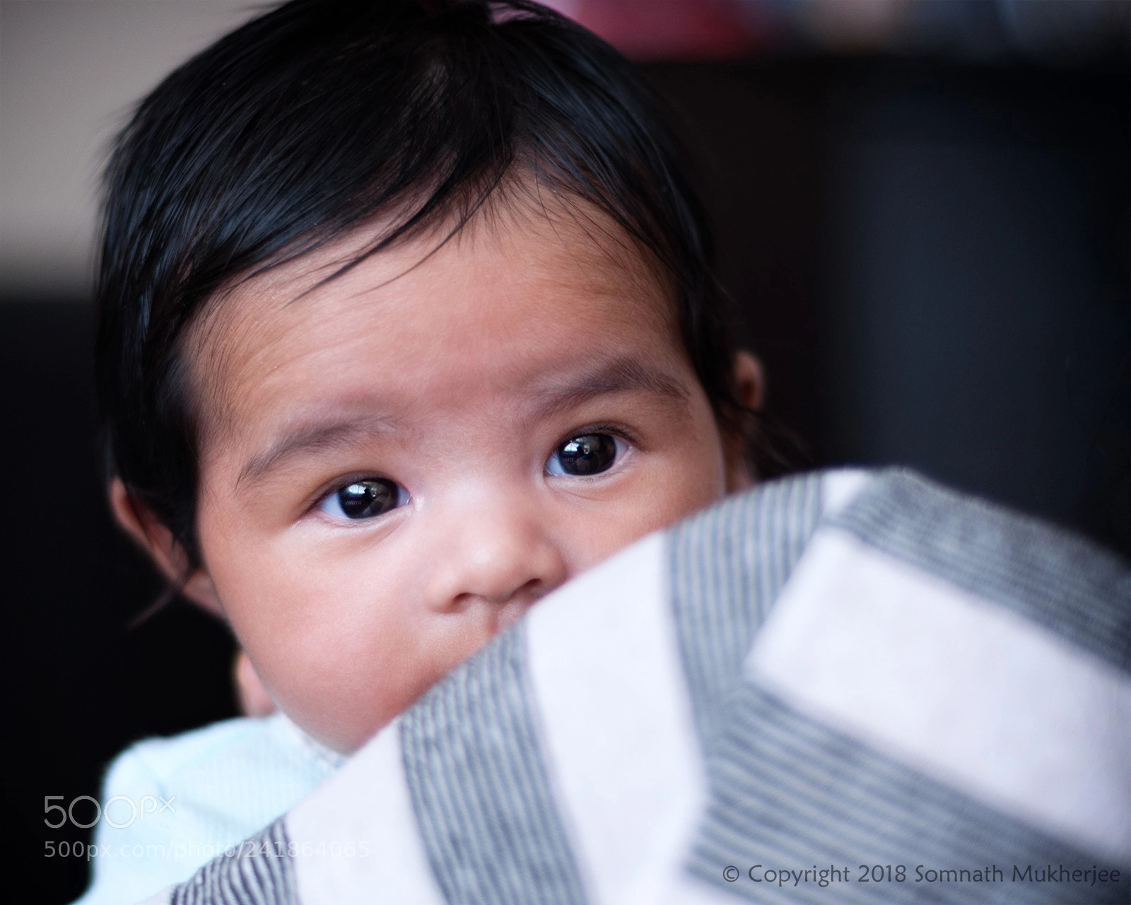 Nikon D90 sample photo. Peek-a-boo | englewood, co | january 2018 photography