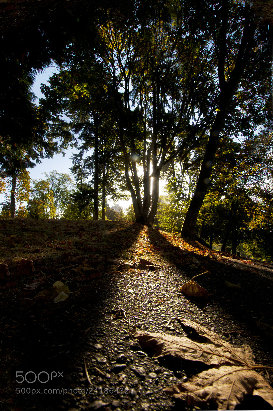 Canon EOS 400D (EOS Digital Rebel XTi / EOS Kiss Digital X) sample photo. September stanley park# photography