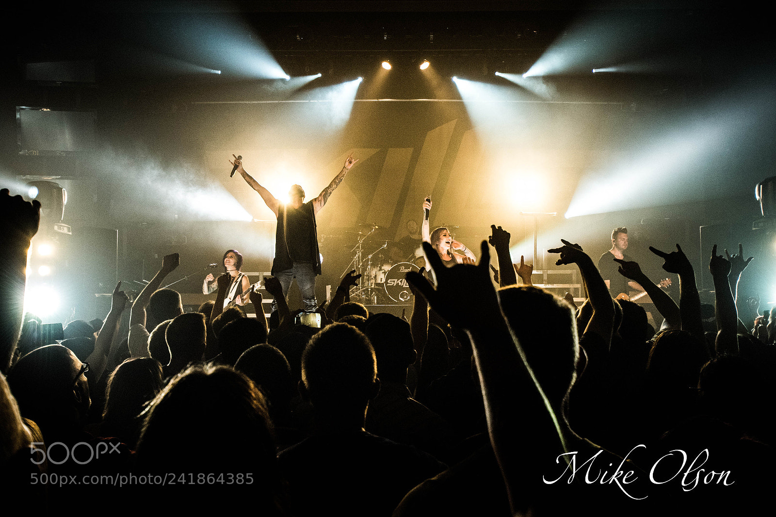 Nikon D810 sample photo. Skillet.jpg photography