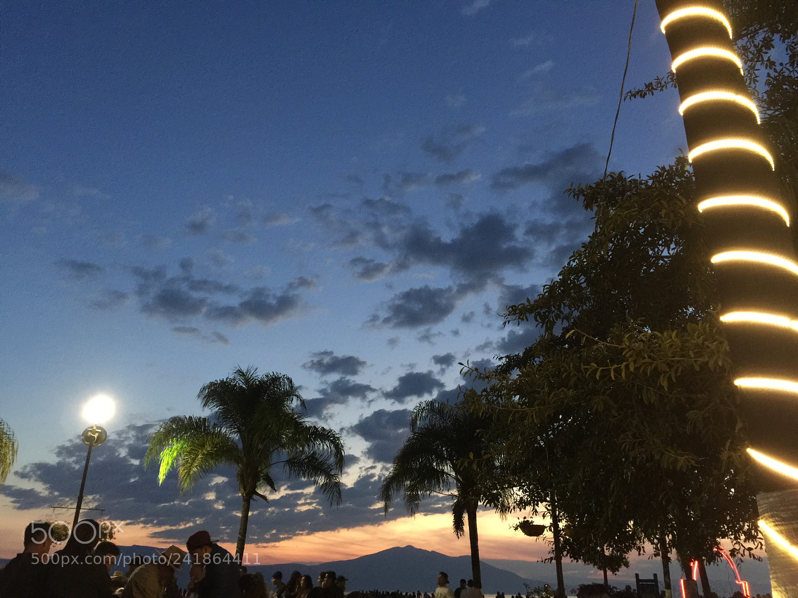 Apple iPhone 6 Plus sample photo. Untitled photography