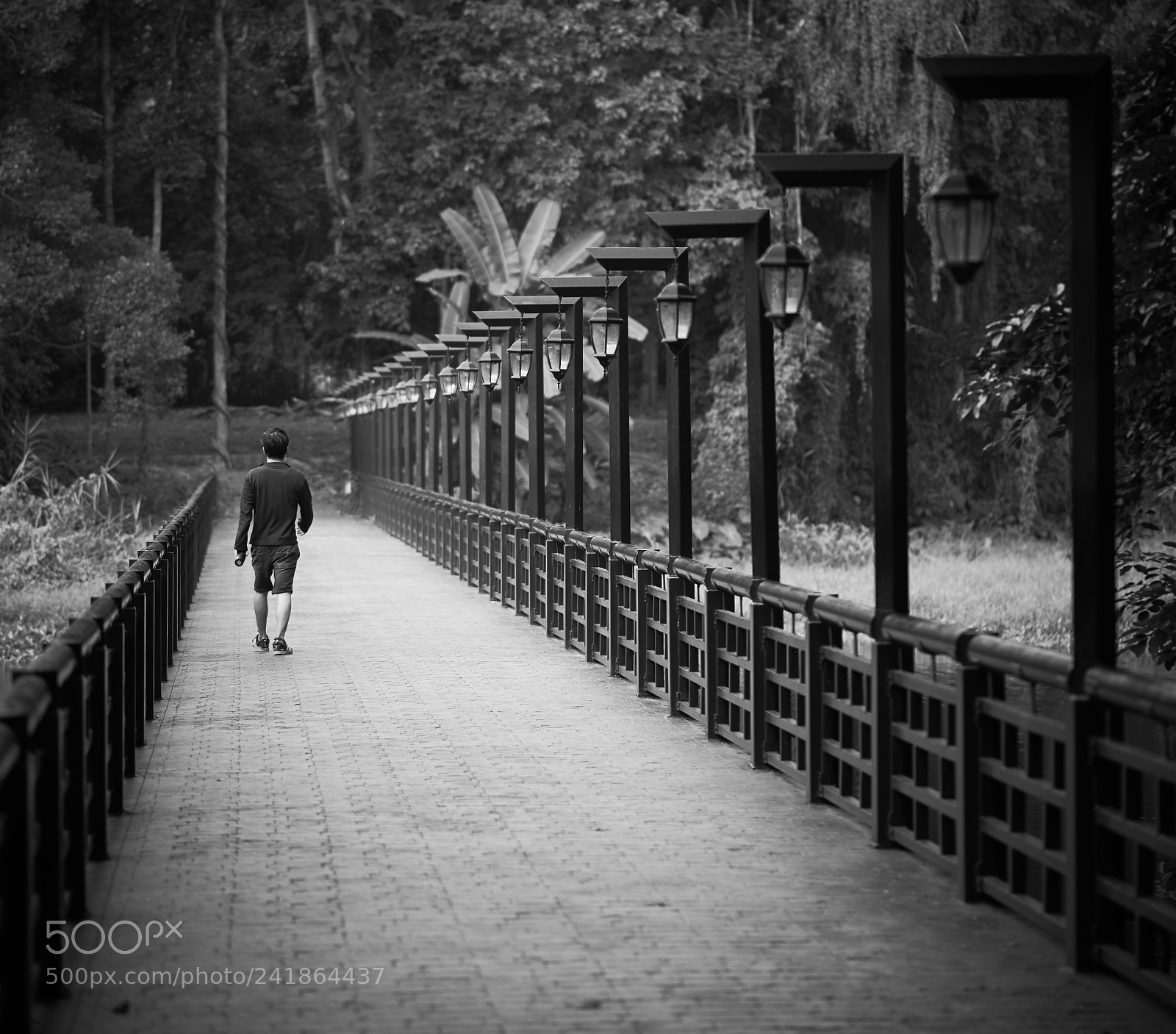 Sony a7 II sample photo. A man walking on photography
