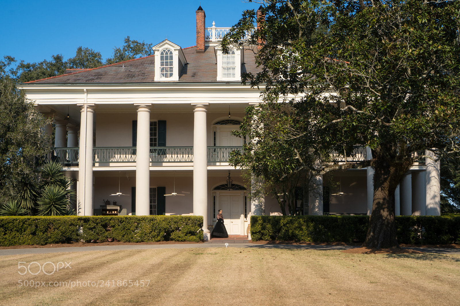 Sony a6300 sample photo. Oak alley plantation photography
