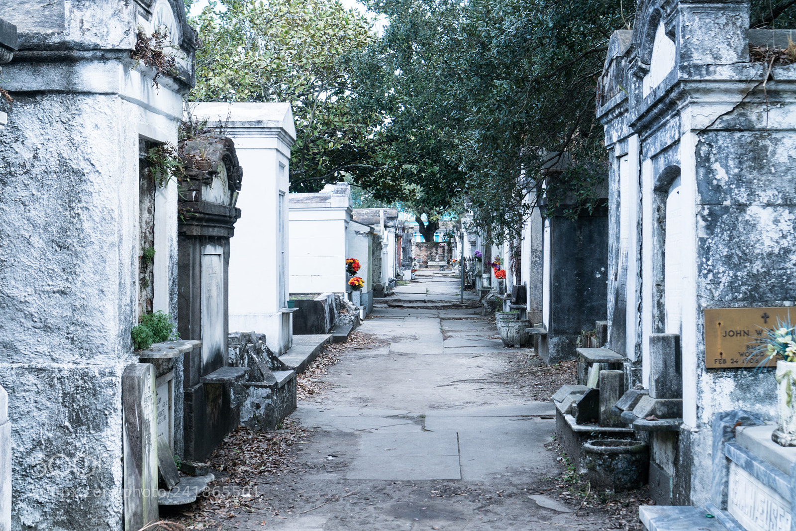 Sony a6300 sample photo. Lafayette cemetery photography