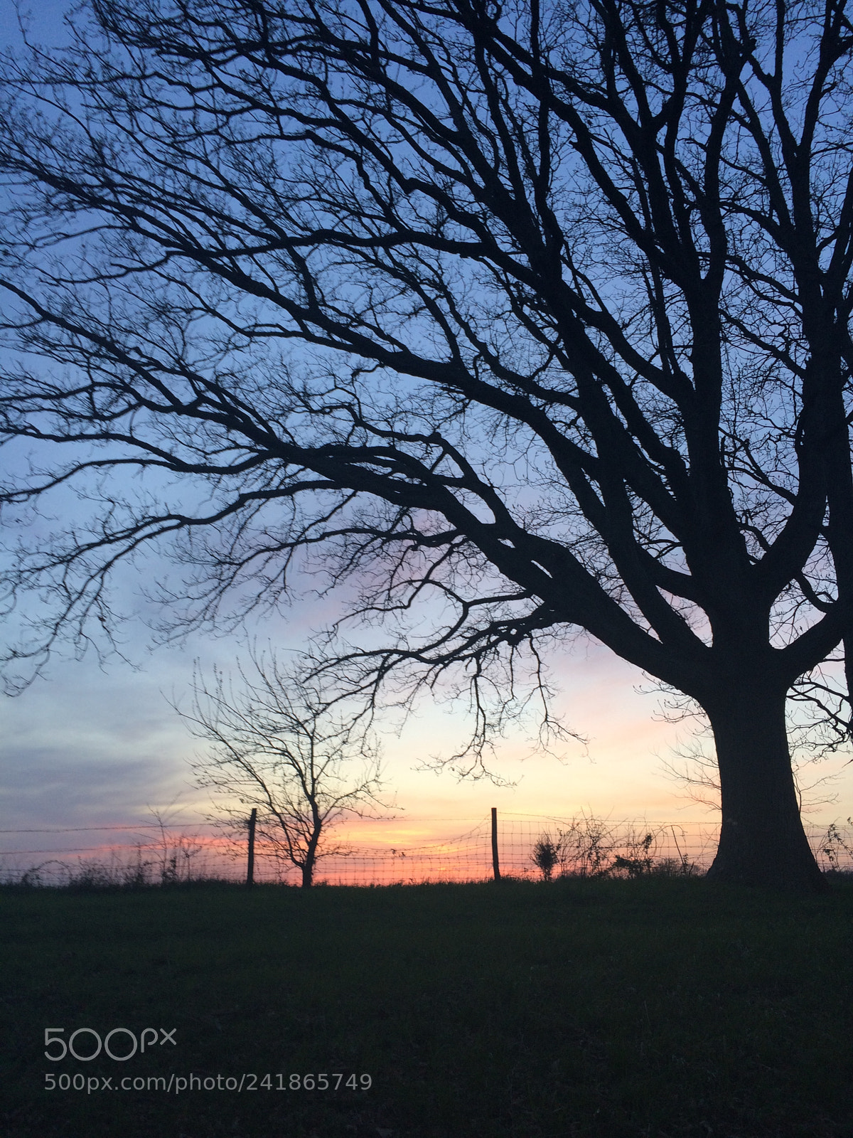 Apple iPhone 5s sample photo. Untitled photography