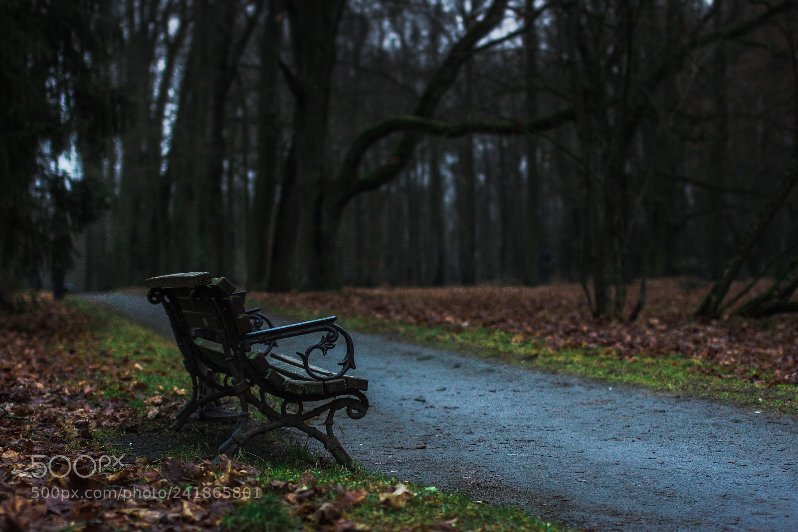 Canon EOS 60D sample photo. Strange winter photography