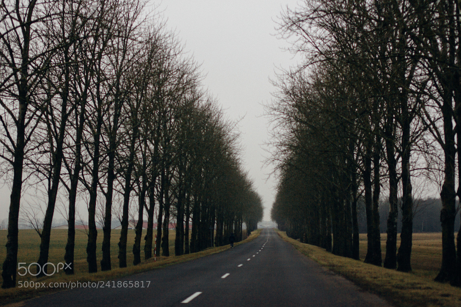 Canon EOS 60D sample photo. Road photography