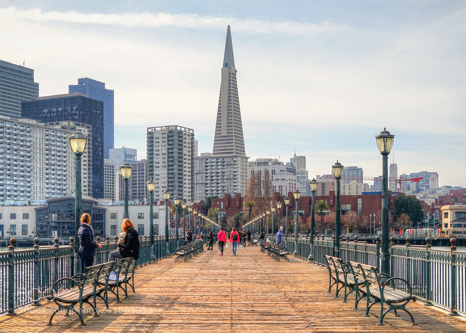 Sony a7 sample photo. The transamerica pyramid photography
