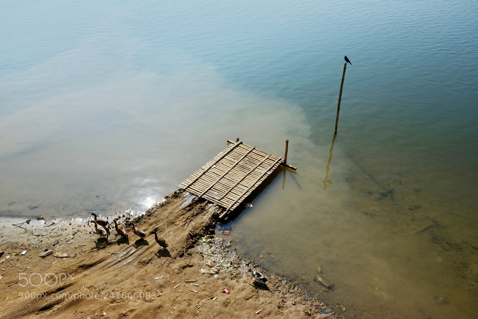 Nikon D7100 sample photo. Untitled photography