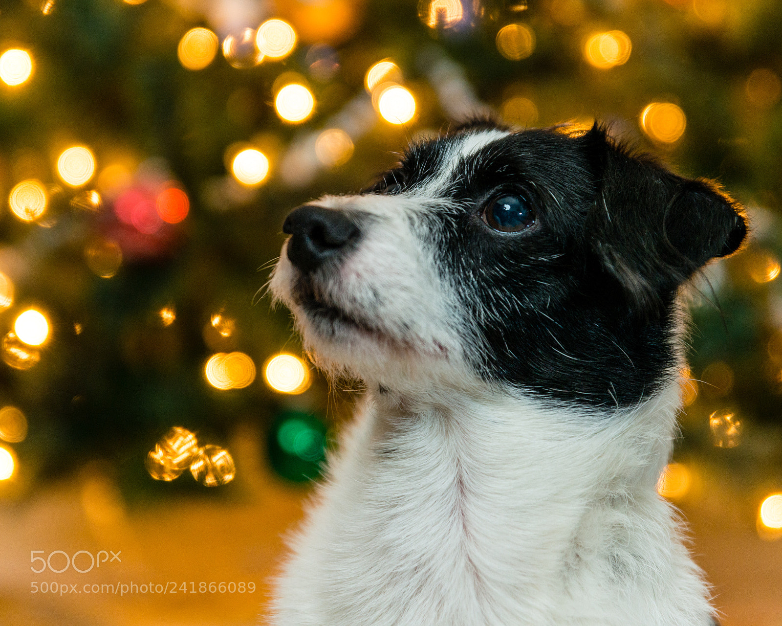 Nikon D800 sample photo. Already wondering what next photography