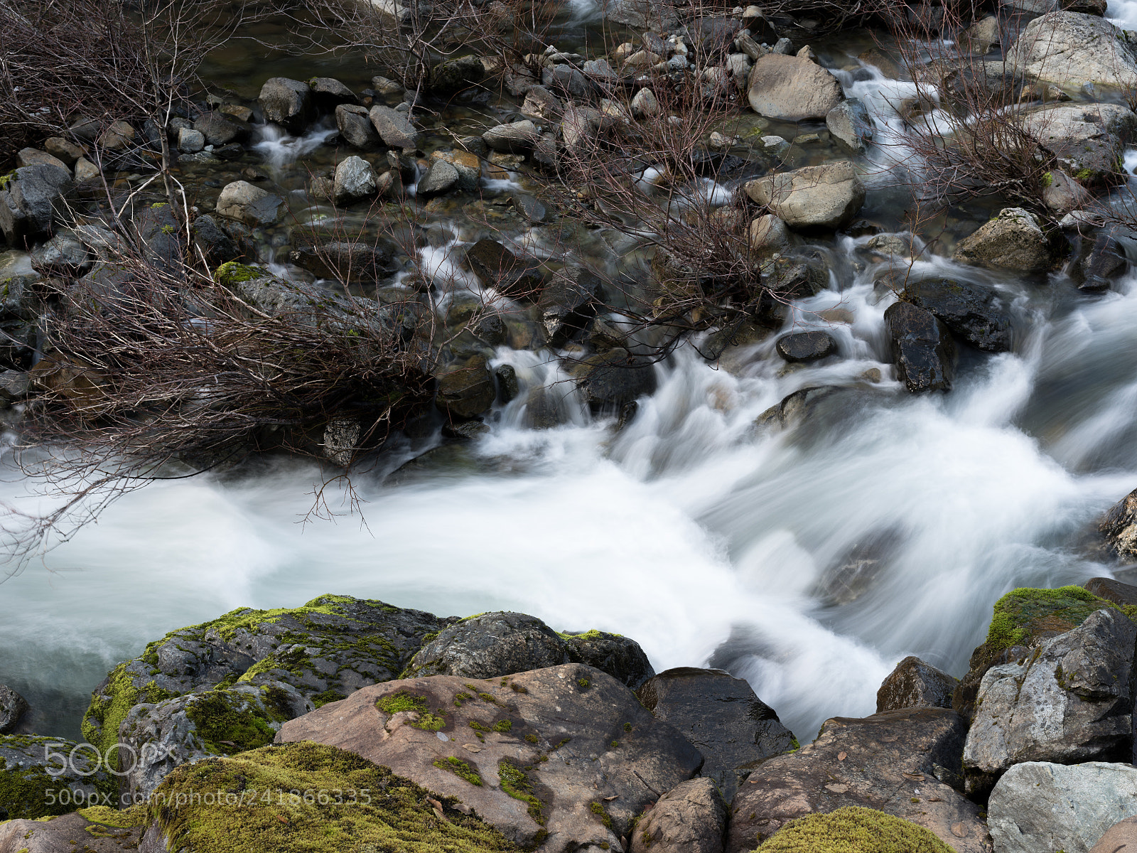 Pentax 645Z sample photo. Patrick creek photography