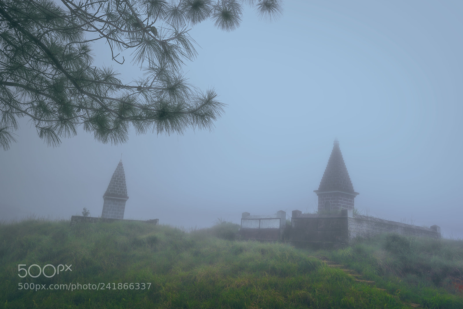 Nikon D810 sample photo. The graveyard photography
