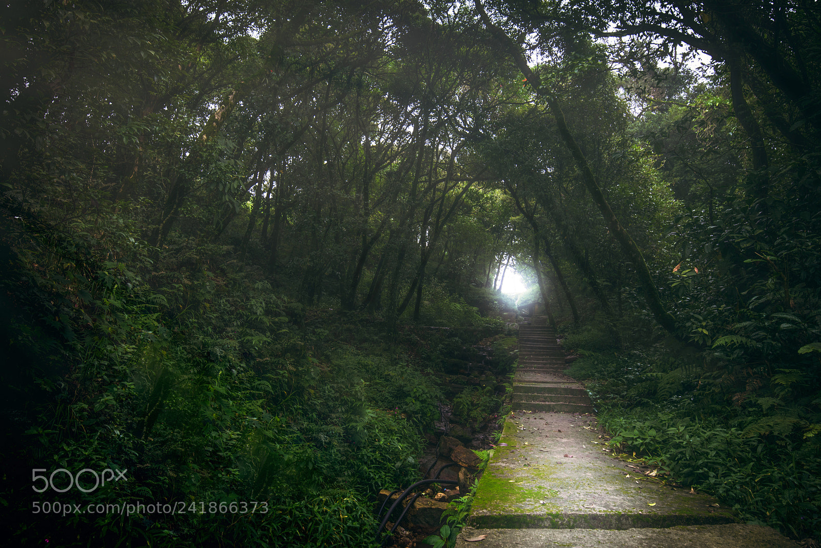 Nikon D810 sample photo. Inti the dawn photography