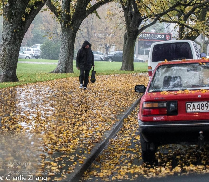 Canon EOS-1D X sample photo. Untitled photography