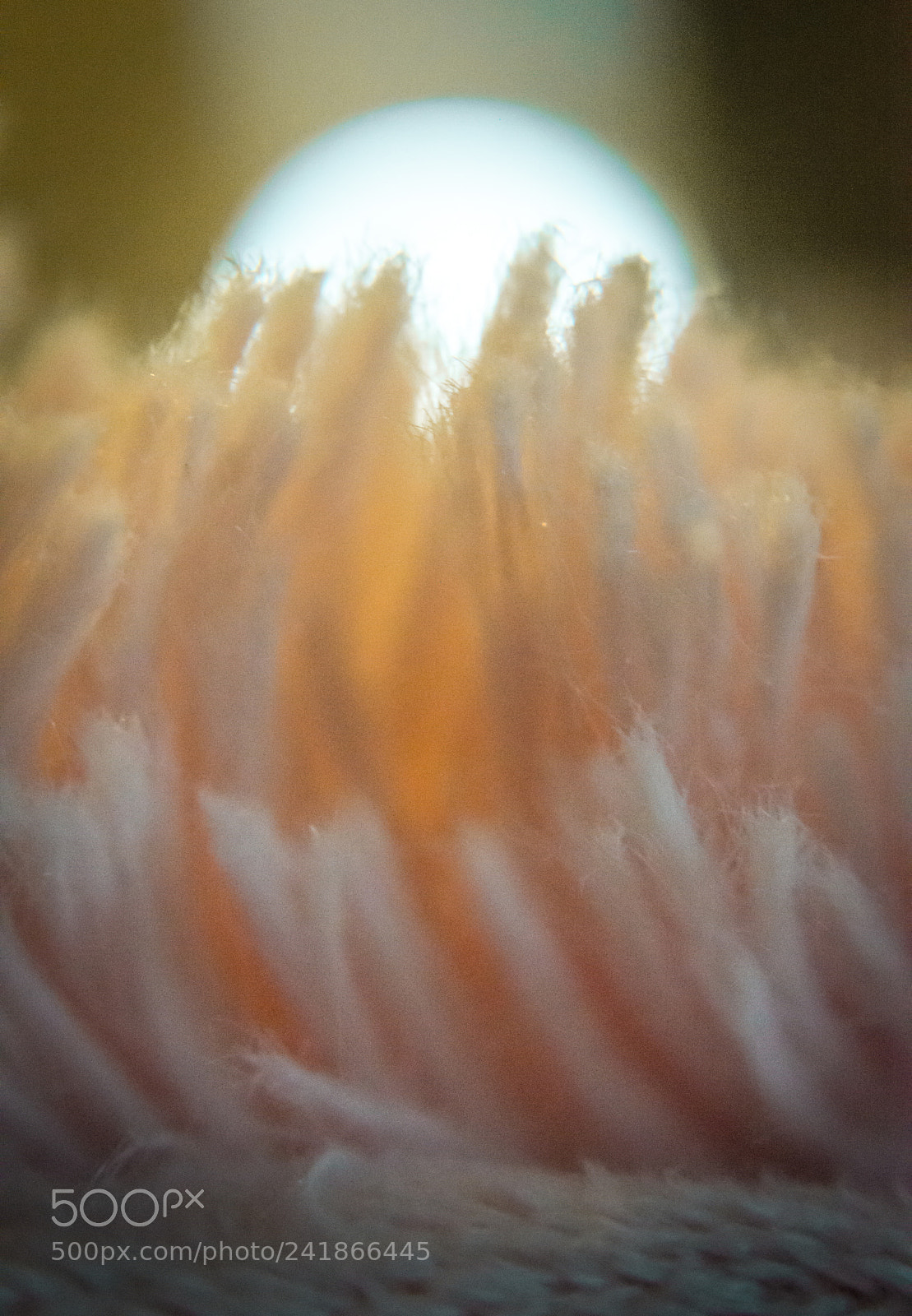 Nikon D3200 sample photo. Yarn sunset photography