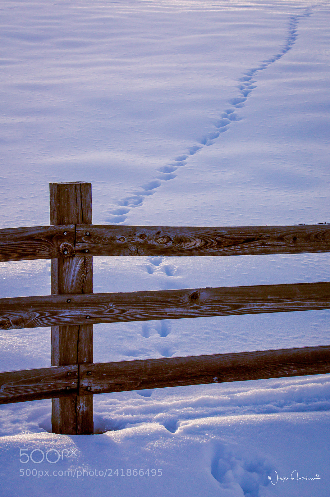 Sony Alpha NEX-7 sample photo. Make tracks photography