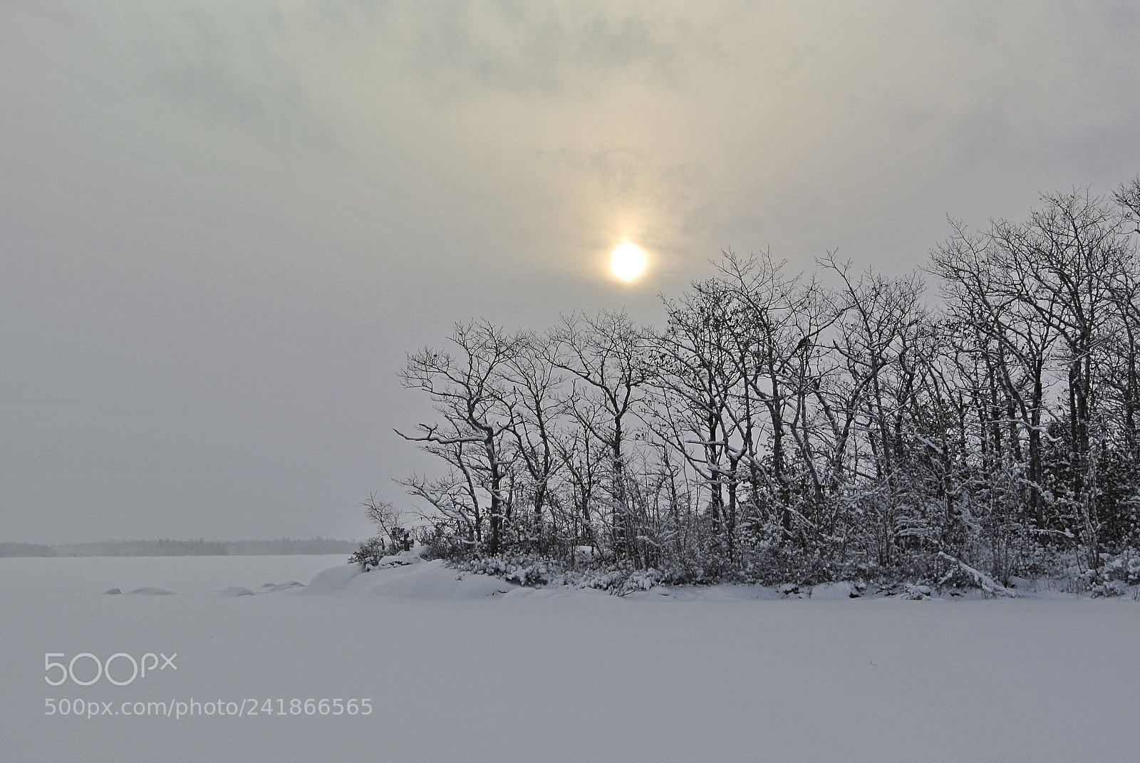 Nikon 1 V1 sample photo. Winter sun on gaspereau photography