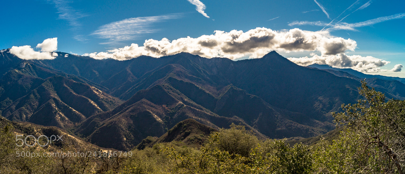 Sony SLT-A58 sample photo. Sequoia national park photography