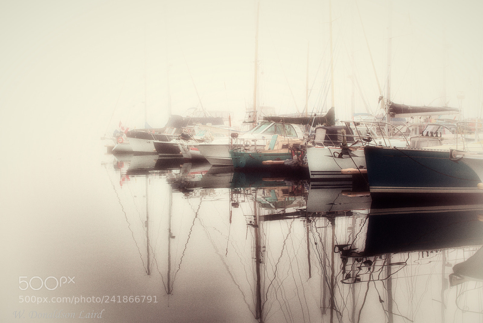 Leica M (Typ 240) sample photo. In the fog photography