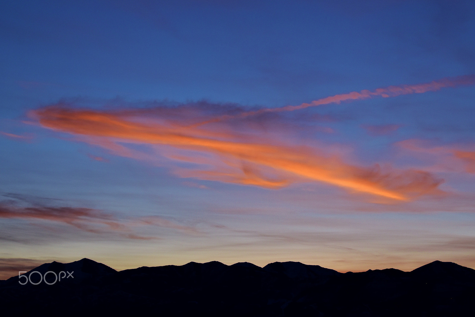 Nikon D5500 sample photo. Lonely photography