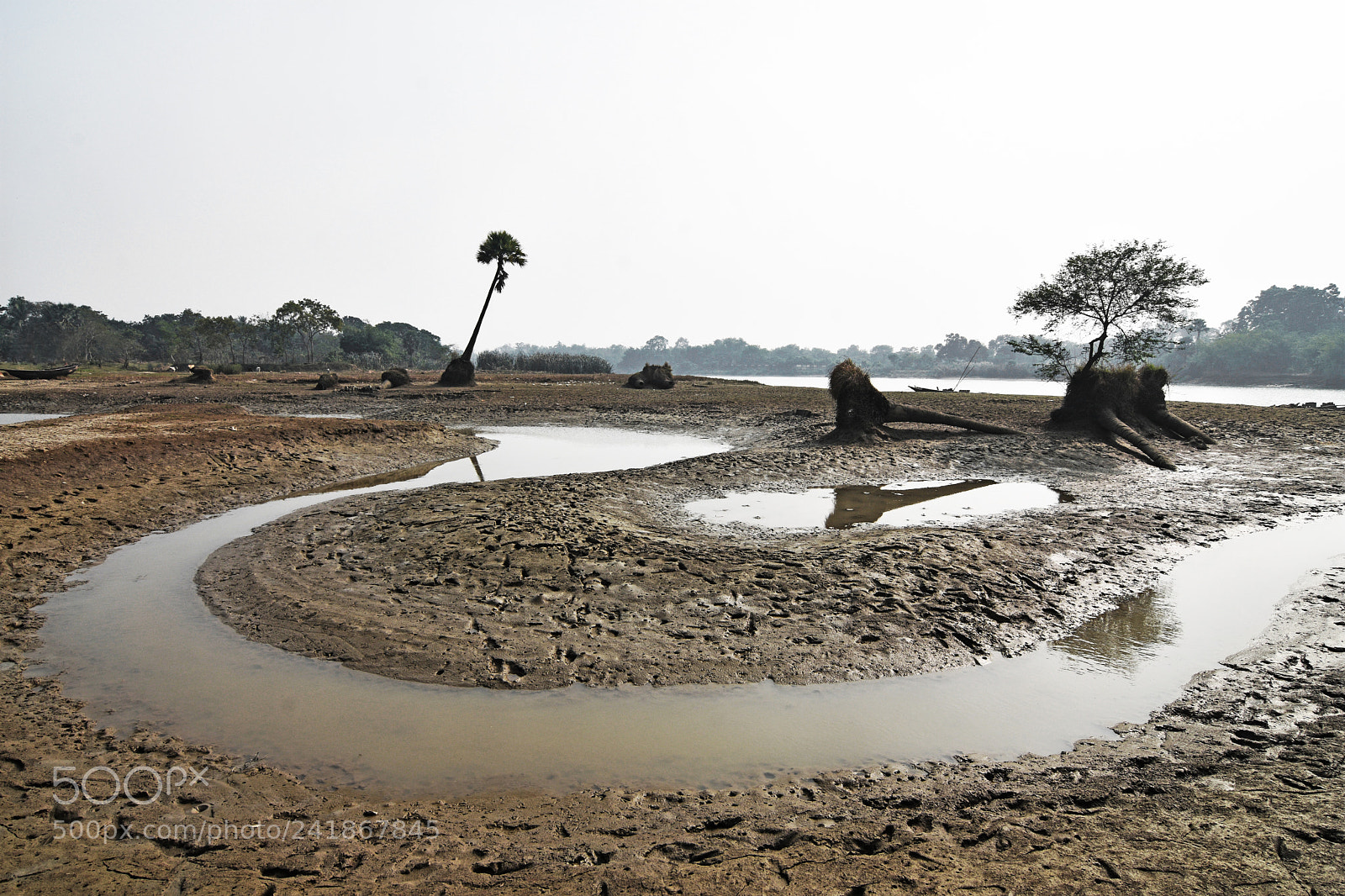 Nikon D7200 sample photo. ... the dying river ................ photography