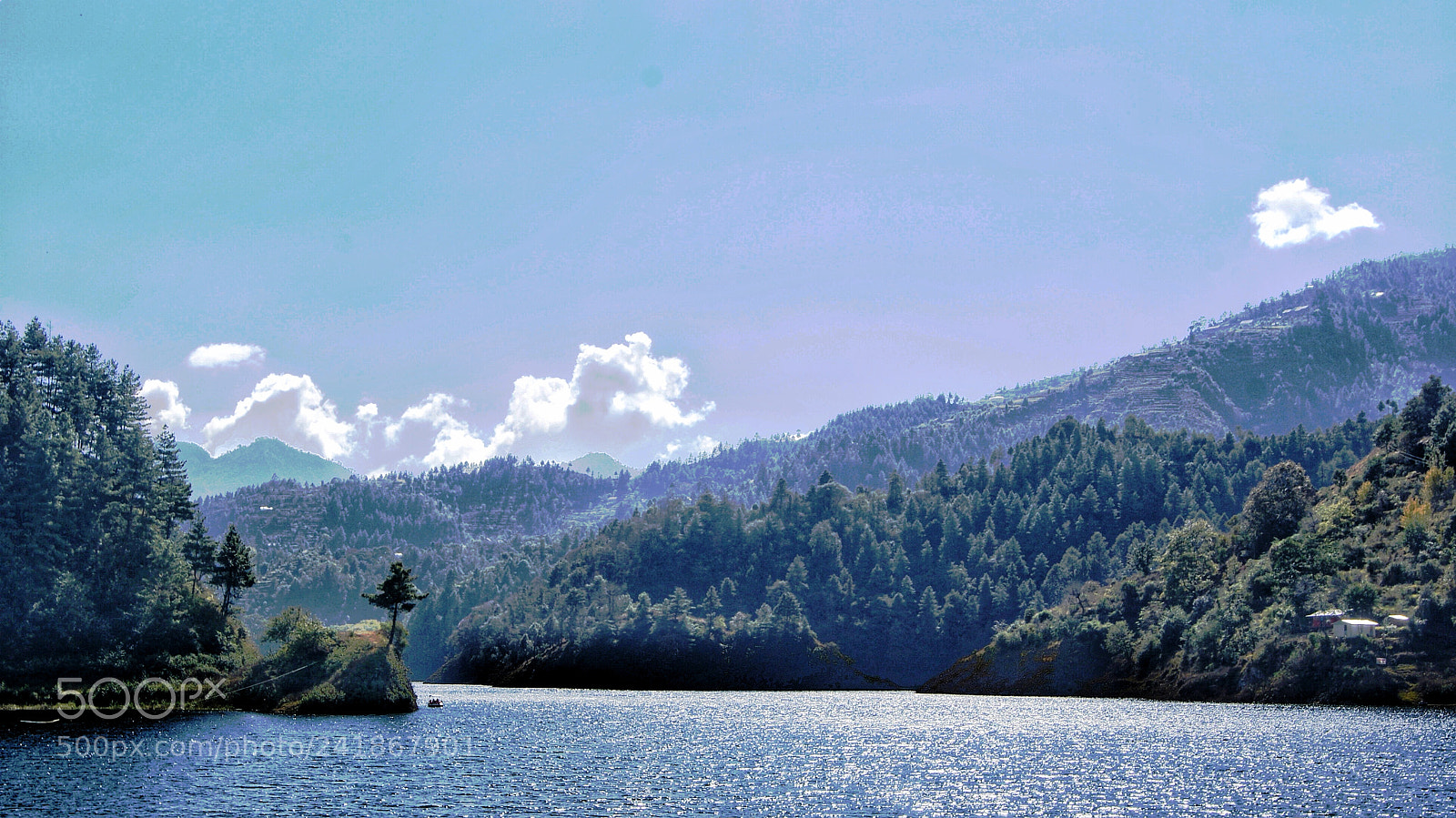 Sony Alpha DSLR-A230 sample photo. Beauty of nature photography