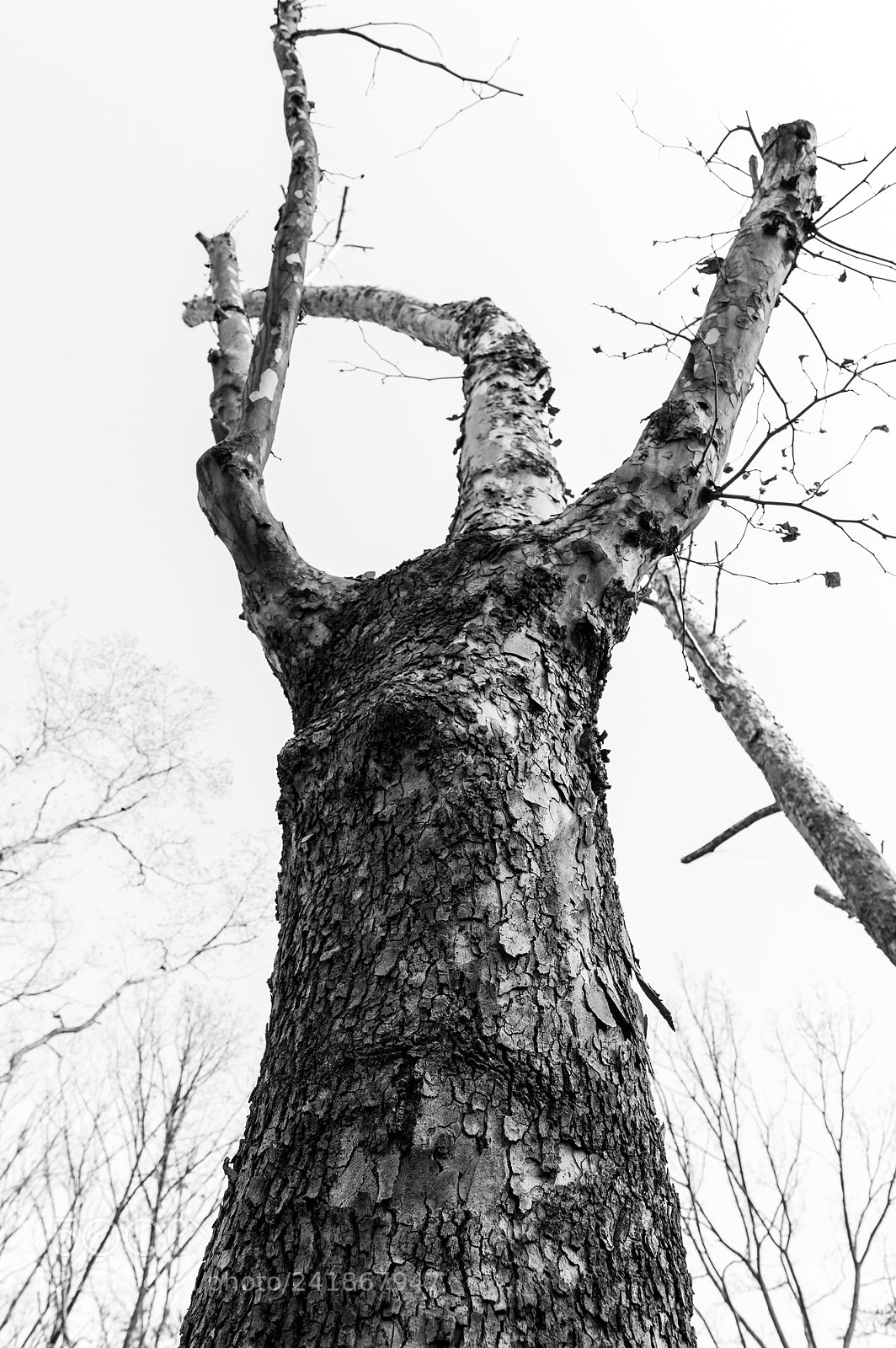 Pentax K-3 sample photo. Coexistence photography