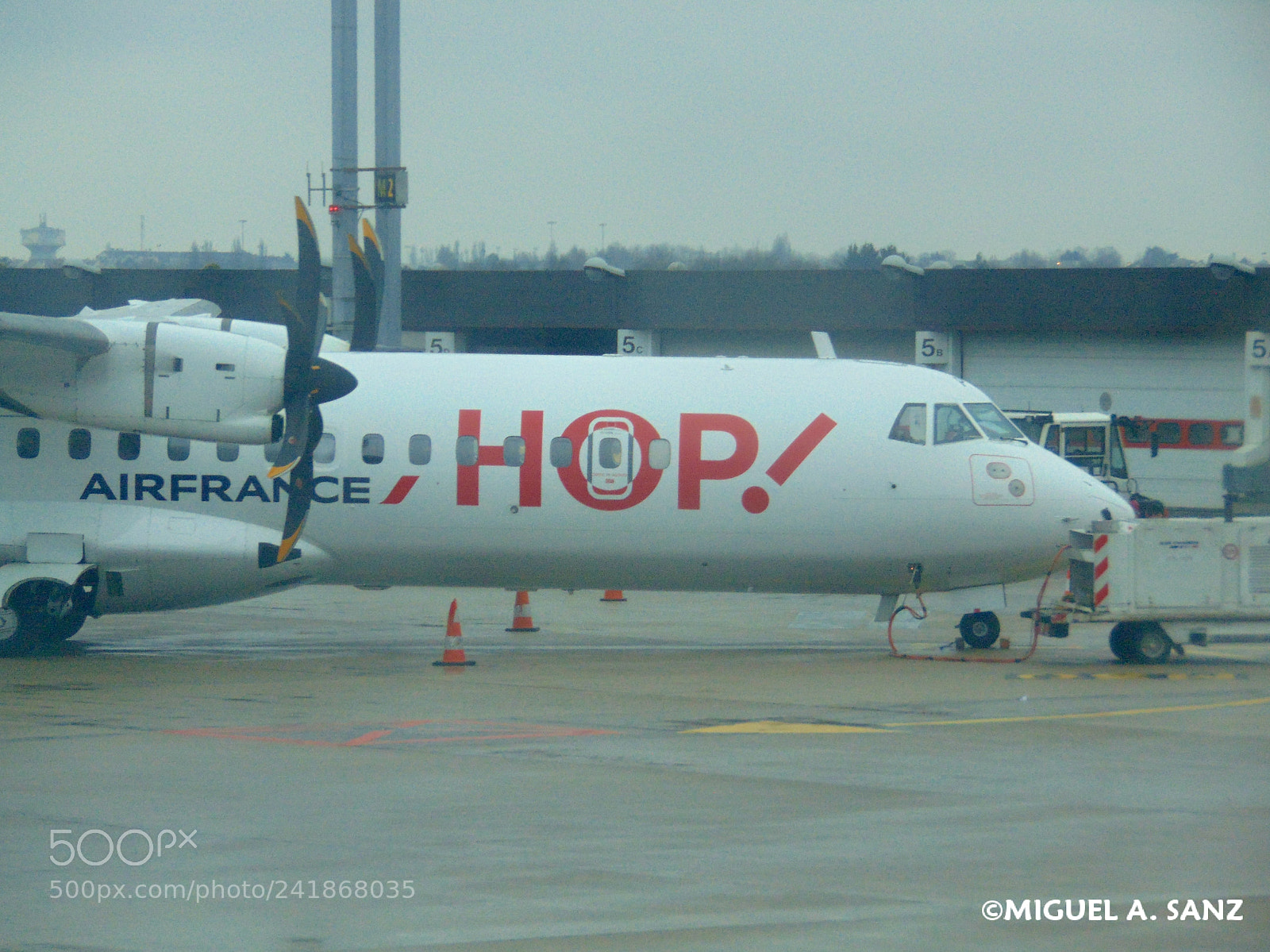 Sony Cyber-shot DSC-H300 sample photo. F-hopl photography