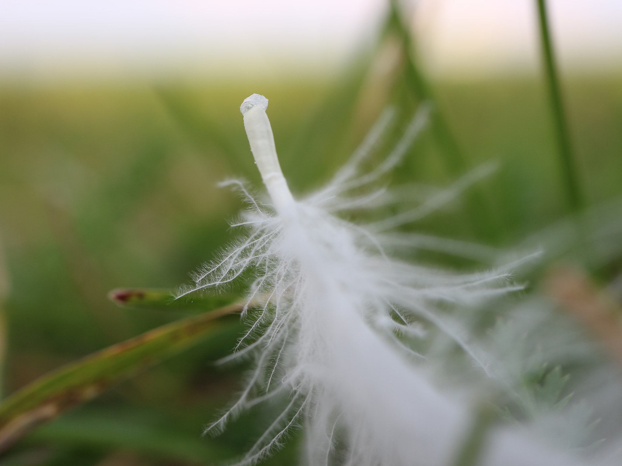 Canon EOS M10 + Canon EF-M 28mm F3.5 Macro IS STM sample photo