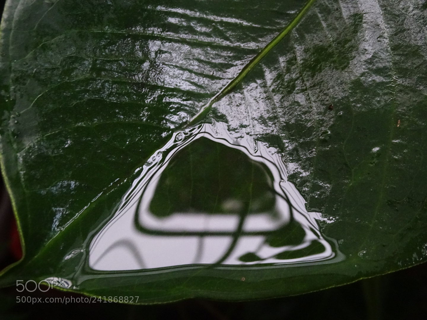 Sony Cyber-shot DSC-HX400V sample photo. Reflejo. photography