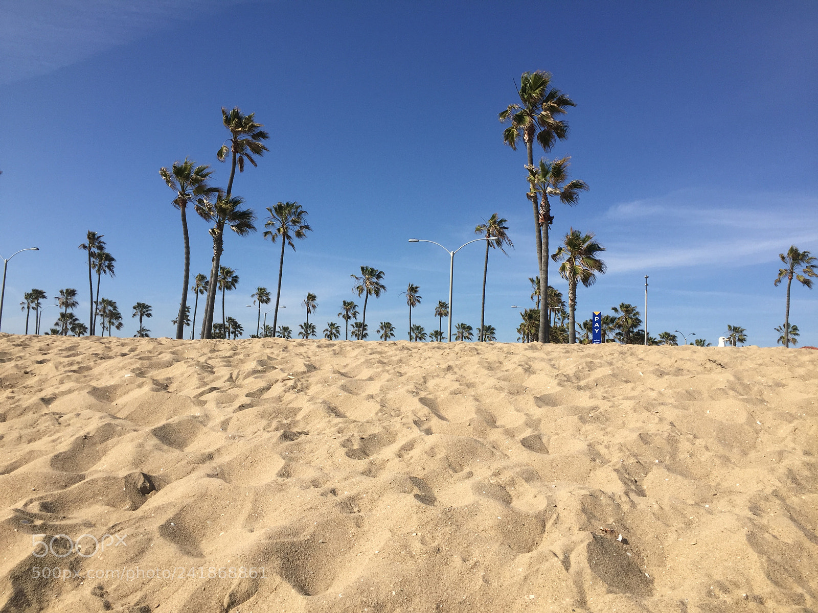 Apple iPhone 6 sample photo. Image photography